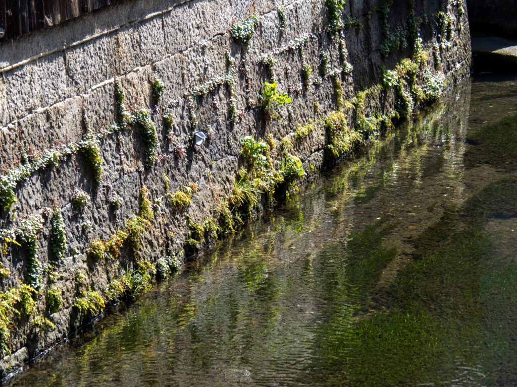 大手橋から見た米川の石垣